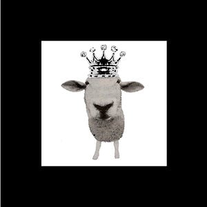 Profile picture for AMCK