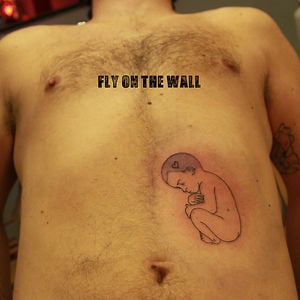 Profile picture for Fly on the Wall
