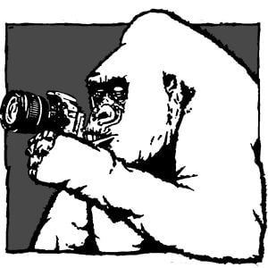Profile picture for WEDOTHIS productions