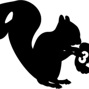 Profile picture for 31 Squirrel