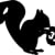 31 Squirrel