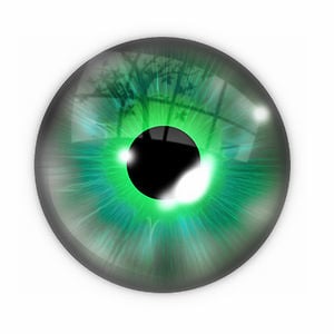 Profile picture for Carniolus