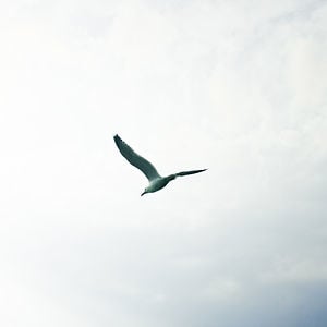 Profile picture for Its Fortune