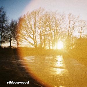 Profile picture for ribbonwood
