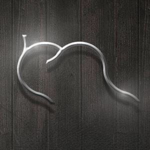 Profile picture for muddledmotions