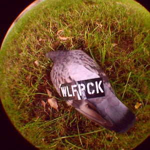 Profile picture for WLFPCK
