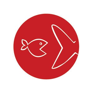 Profile picture for eatbigfish