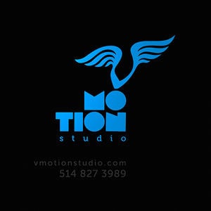 Profile picture for VMOTION studio / Pierre Charland