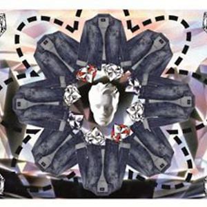 Profile picture for Angela e Silva
