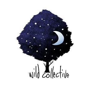 Profile picture for Wild Collective