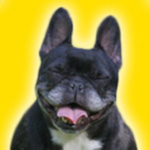 Profile picture for Dogster/Catster