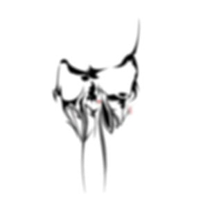 Profile picture for Svrnafkll