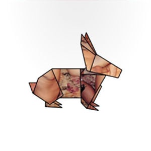 Profile picture for YESSR