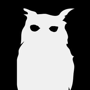 Profile picture for Noctambule Cinema