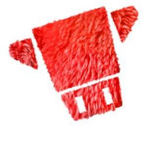 Profile picture for grudaemmim