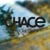 Brian Chace