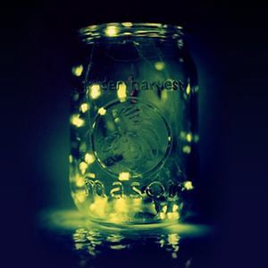 Profile picture for Utica Firefly