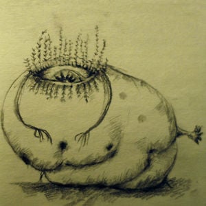 Profile picture for haisu wang