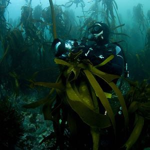 Profile picture for Beneath the Waves