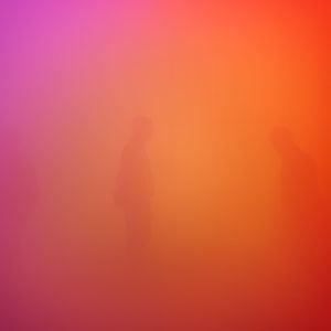 Profile picture for Ann Veronica Janssens