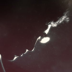Profile picture for Arturo Gutierrez