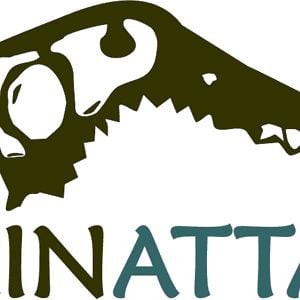 Profile picture for mountainattack.com