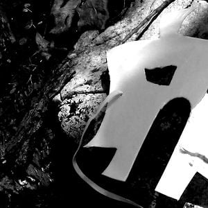 Profile picture for andy dow