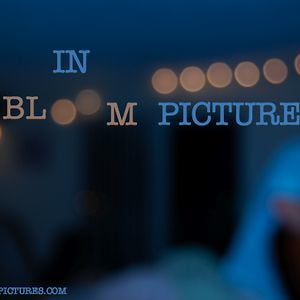 Profile picture for In Bloom Pictures/Weddings
