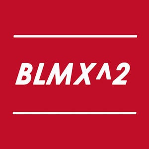 Profile picture for BULL MIX