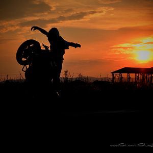 Profile picture for StuntShowBulgaria