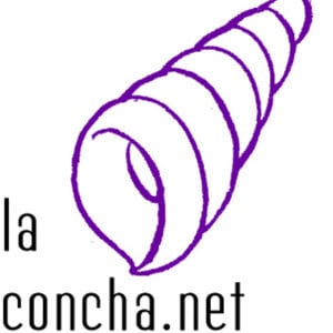 Profile picture for la concha