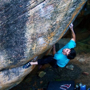 Profile picture for Walker Emerson