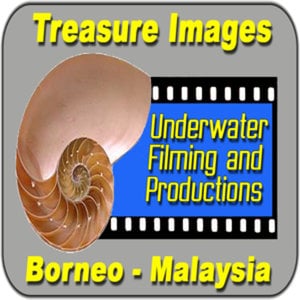 Profile picture for Treasure Images