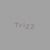 TRIZZ STUDIO