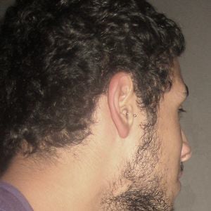 Profile picture for lmfanimal