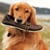 Sperry Top-Sider