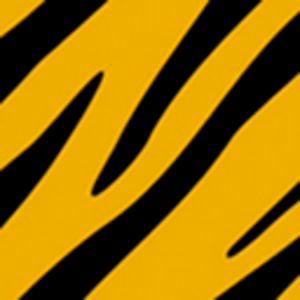 Profile picture for tigerbus.de