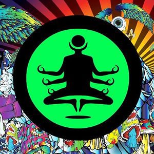 Profile picture for LEVITATION PROJECT