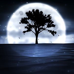 Profile picture for Crooked Lake Productions