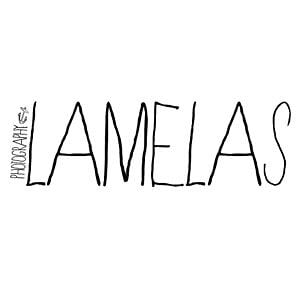 Profile picture for Tiago Lamelas