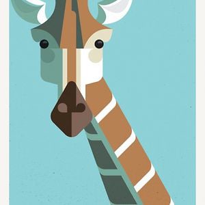 Profile picture for jana durajova