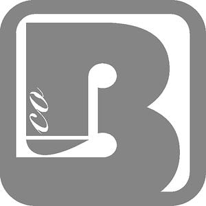 Profile picture for BoardCo.com