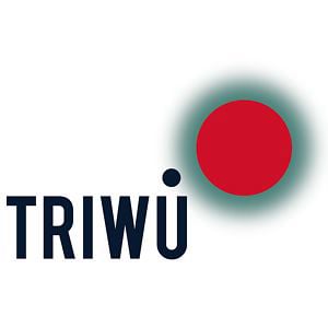 Profile picture for TRIWU
