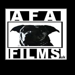 Profile picture for Jamie Aylard