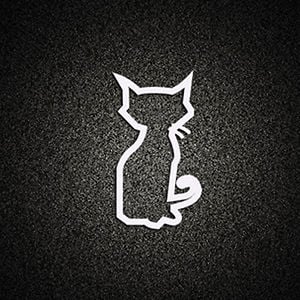 Profile picture for FatCat Films