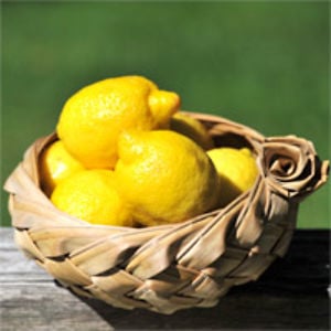 Profile picture for Lemonade Heroes