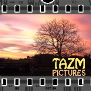 Profile picture for Tom