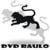 DVD Raulo