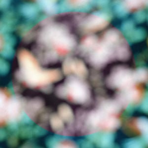Profile picture for Alexander Iezzi