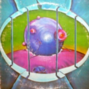Profile picture for joseph raglani